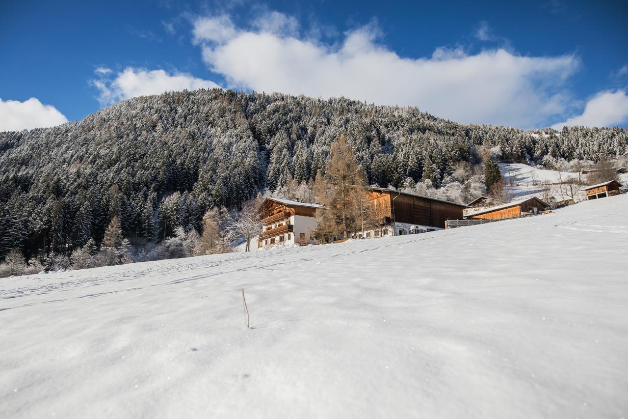 Ladestatthof Ξενοδοχείο Neustift im Stubaital Εξωτερικό φωτογραφία